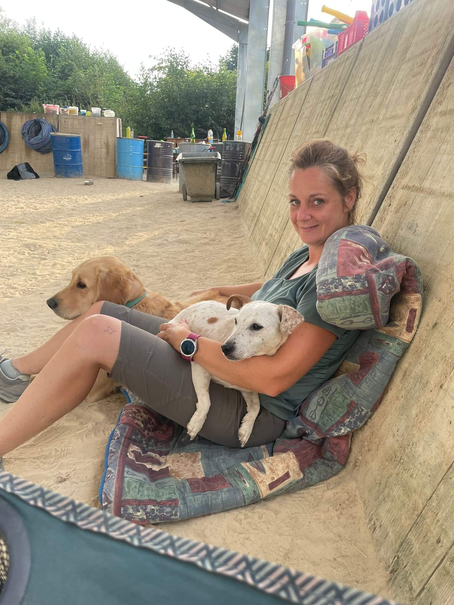 Collaboratrice assise contre un mur avec deux chiens