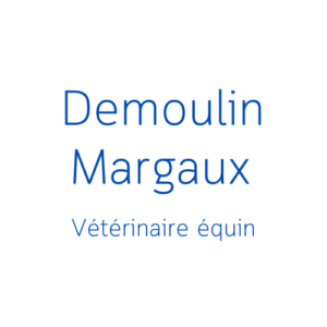 Logo de la vétérinaire "Demoulin Margaux" qui est un simple texte